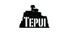 Tepui Tents branding